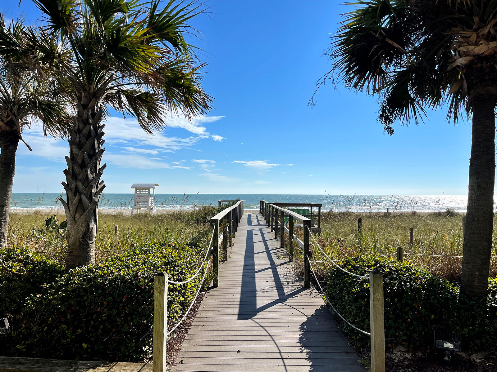 Discover Paradise Towers at Carolina Beach: Your Ultimate Travel Guide